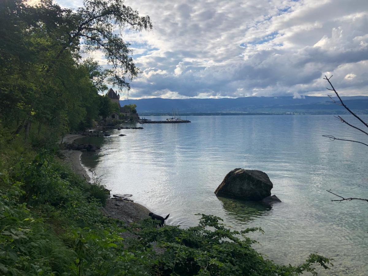A With A View - Maisonnette Dans Bourg Medieval Au Bord Du Leman Yvoire